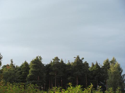540378 (a): :2816x2112